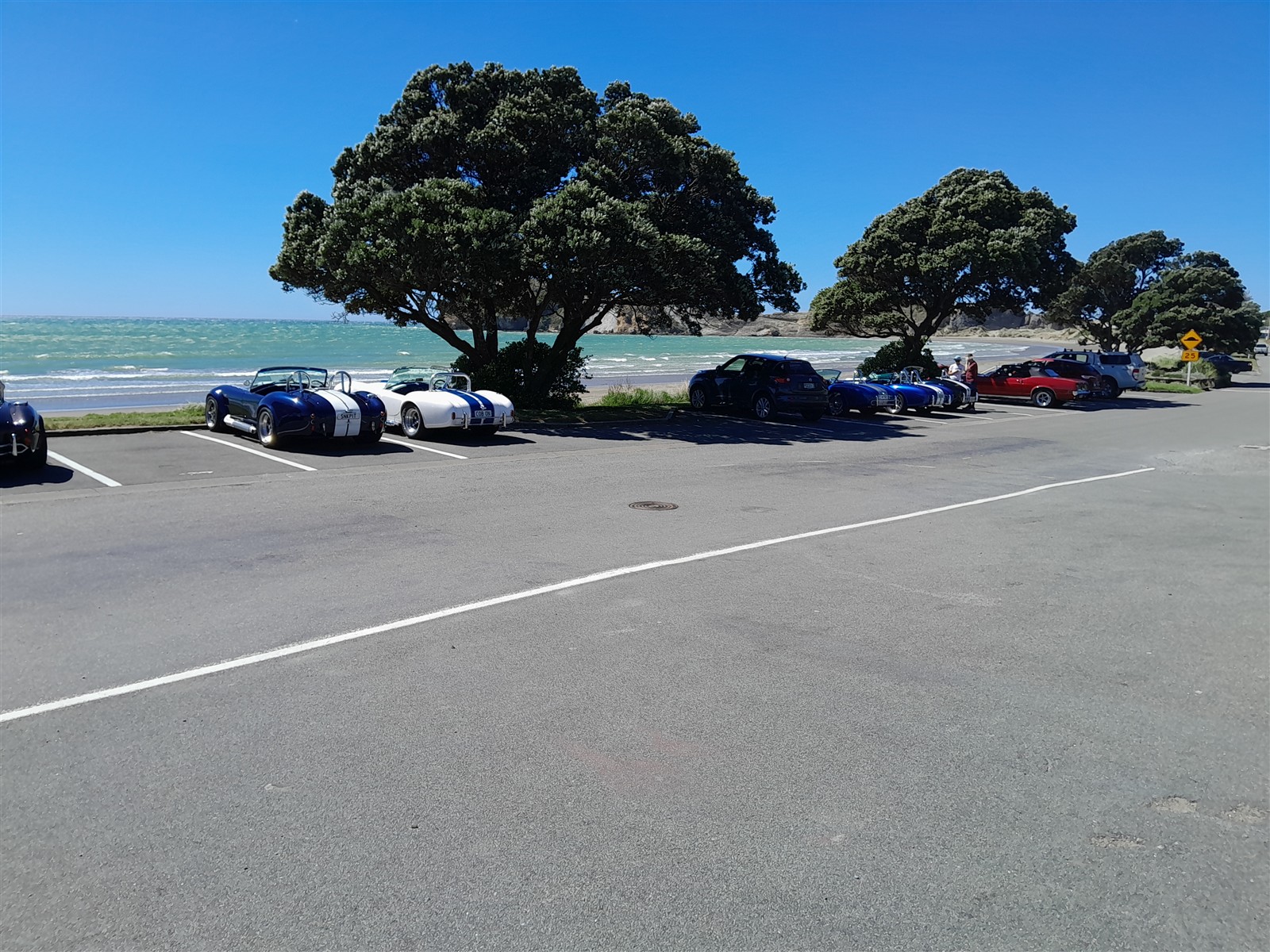 Auckland ~ Tuesday, 25 February